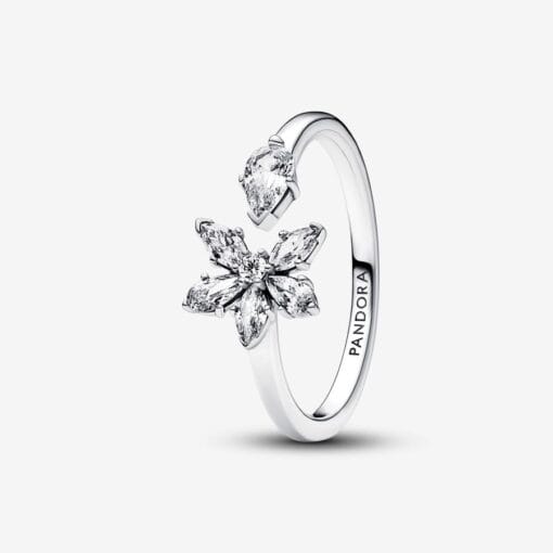 Anillo abierto Herbario Brillante
