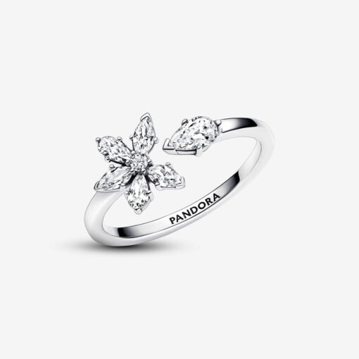 Anillo abierto Herbario Brillante