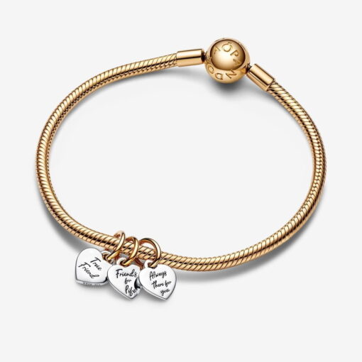Charm Colgante Divisible Triple Amistad en Dos Tonos