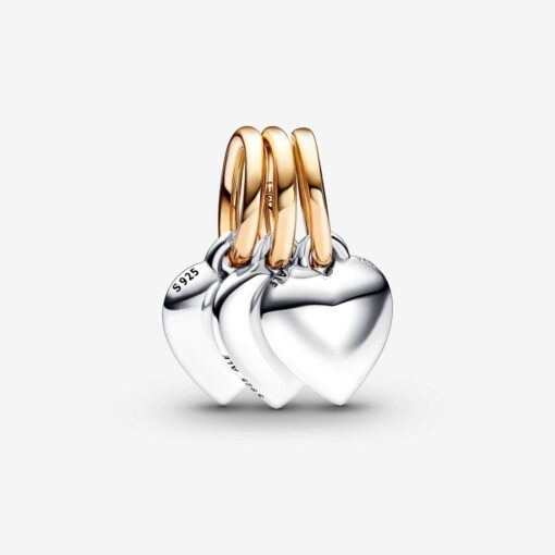 Charm Colgante Divisible Triple Amistad en Dos Tonos
