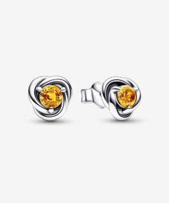 Aretes de botón Círculo Eternity Noviembre
