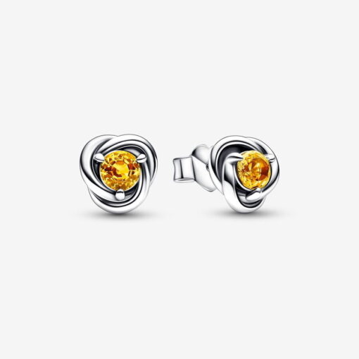 Aretes de botón Círculo Eternity Noviembre