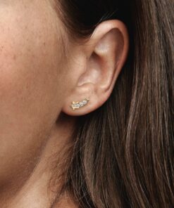 Aretes de estrella fugaz