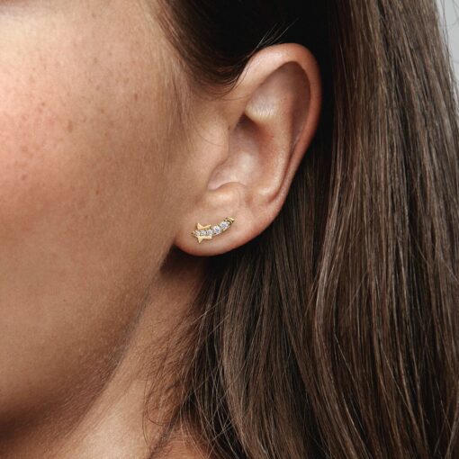 Aretes de estrella fugaz