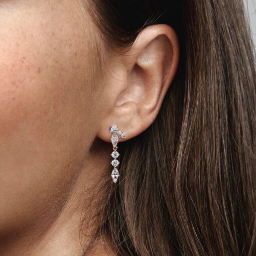 Aretes Colgantes Herbario Brillante