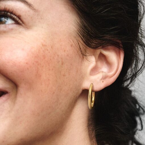 Aretes de Aro con Dijes Moments de Pandora