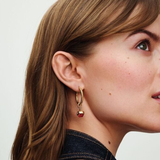 Aretes de Aro con Dijes Moments de Pandora