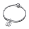 Charm Colgante Doble Amistad Opalescente
