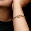 Charm de Estrella Radiante