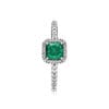 Elegancia Atemporal Verde