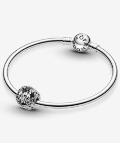 Charm de Calabaza de Cenicienta