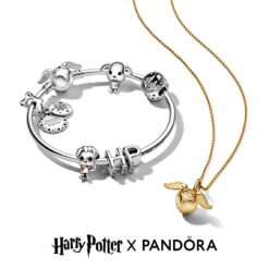 Harry Potter X Pandora