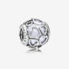 Charm Encased in Love