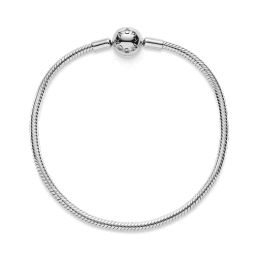 Pulsera Cadena de Serpiente con Cierre Redondo