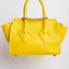 Valentina en Amarillo Canario y Plumas